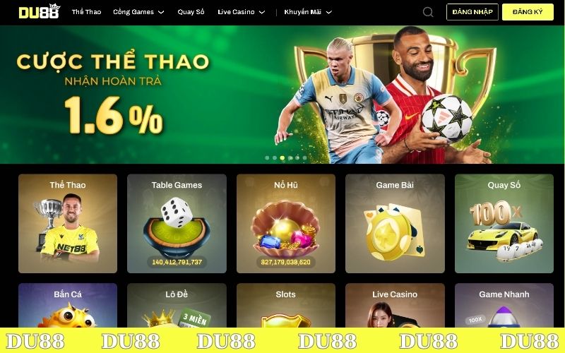 Thông tin về giấy phép hoạt động của DU88